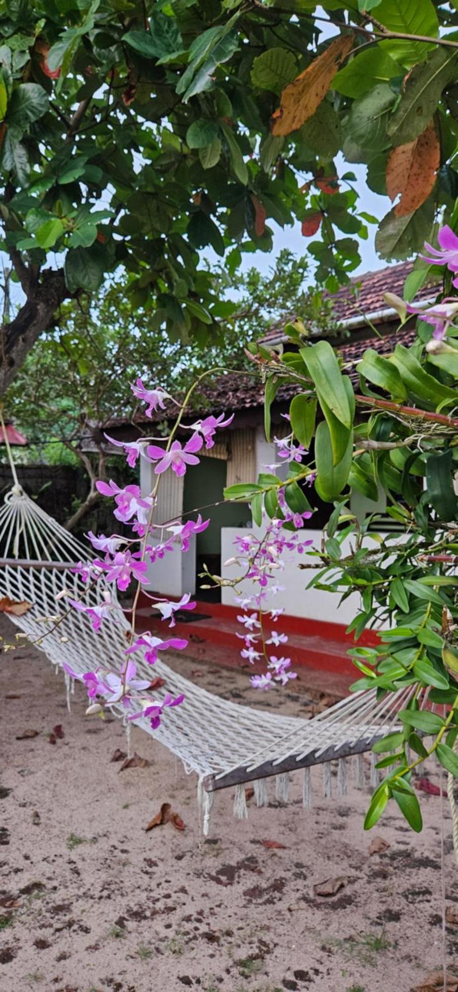 Angeo Beach House Alappuzha Экстерьер фото